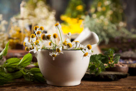 Natural remedy and mortar, healing herbs backgroundの写真素材