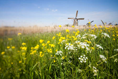 Old windmill in hollandの写真素材