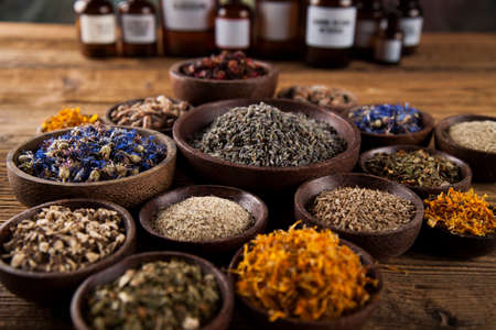 Fresh medicinal, healing herbs on woodenの写真素材