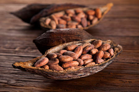 Cocoa pod on wooden backgroundの写真素材