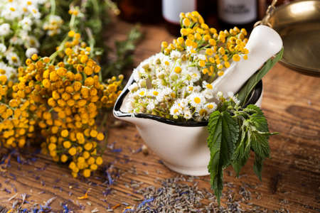 Fresh medicinal, healing herbs on woodenの写真素材