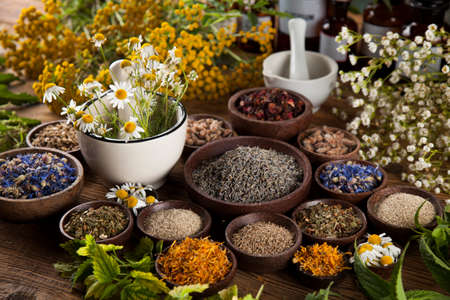 Natural medicine, herbs, mortar on wooden table backgroundの写真素材