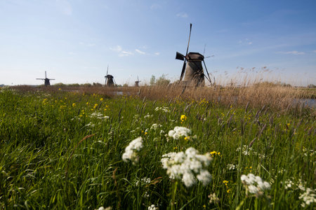 Old windmill, Kinderdijk in netherlands