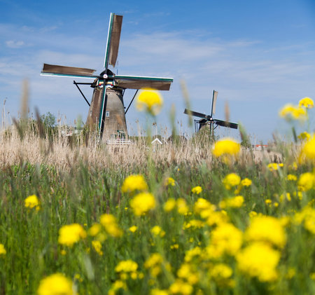 Traditional old windmills in Netherlands