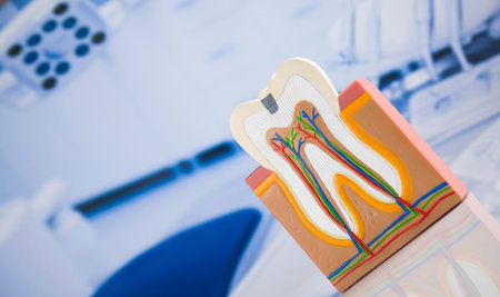 Dental instruments and tools in a dentists office