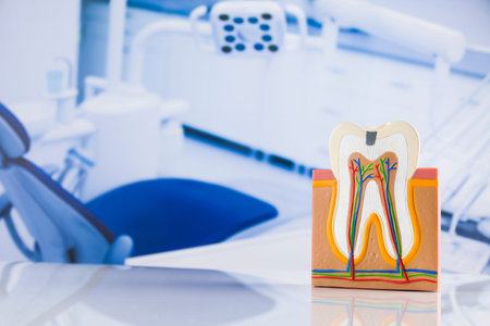 Dental instruments and tools in a dentists office