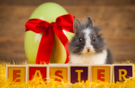 Little Easter bunny
