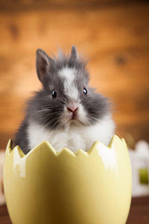 Little Easter bunny