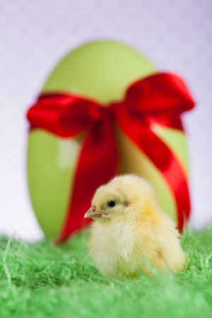 Easter animal