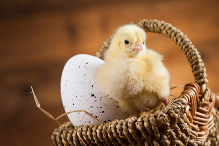 Easter animal