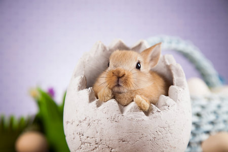 Rabbits with Easter on wooden background