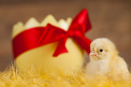 Easter animal