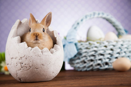 Rabbits with Easter on wooden background