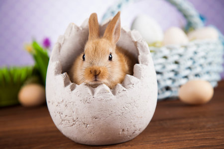 Little Easter bunnyの写真素材