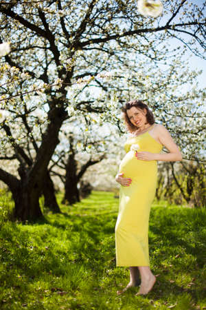 Spring, Young beautiful pregnant woman in the Orchardの写真素材