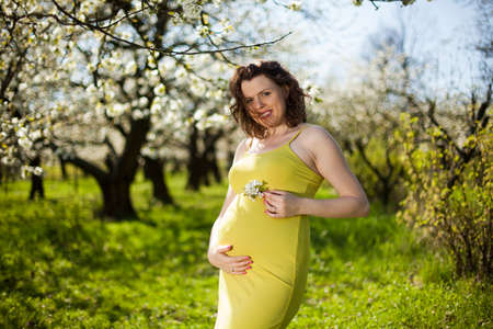 Spring, Young beautiful pregnant woman in the Orchardの写真素材