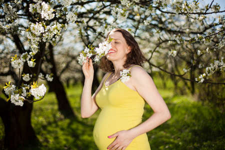 Beautiful pregnant woman relaxing outside in the Orchardの写真素材