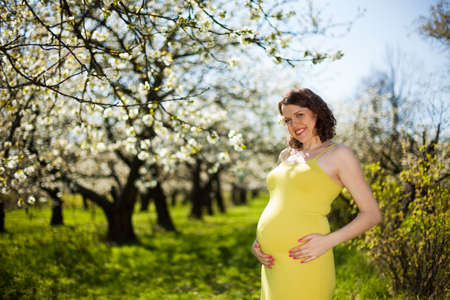 Blooming garden, Beautiful pregnant womanの写真素材