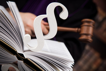 Striking mallet, Judgment concept, book background and Paragraph