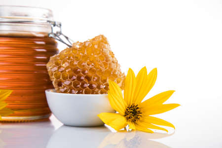 Flower, Sweet honey on white backgroundの写真素材