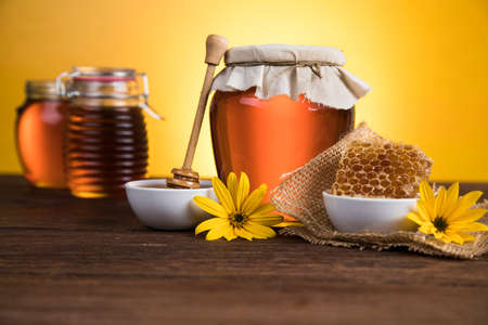 Flower, Sweet honeyの写真素材