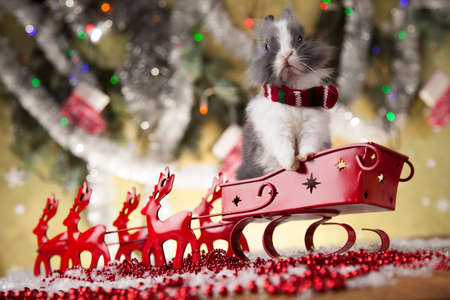 Christmas, Santa sleigh on gift box backgroundの写真素材