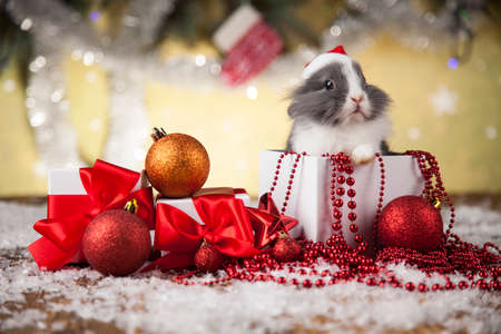 Rabbit, bunny, Gift boxes with red ribbon on Christmas backgroundの写真素材