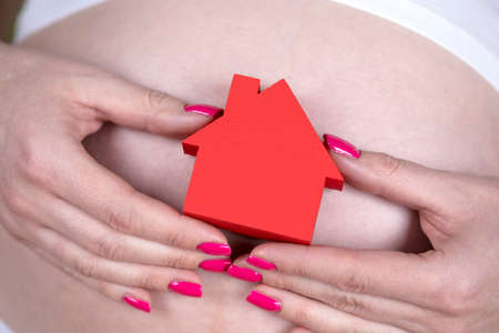 Pregnant house concept, of new home and familyの写真素材