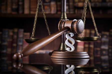 Judges wooden gavel and paragraph