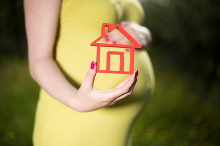 Home, Beautiful pregnant woman in the meadow