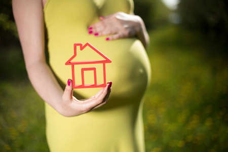 Home, Beautiful pregnant woman in the meadowの写真素材