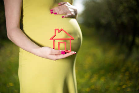 Home, Beautiful pregnant woman in the meadowの写真素材