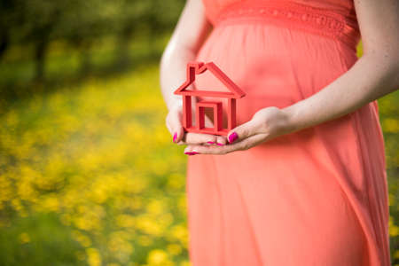 Home, pregnant woman in the meadowの写真素材