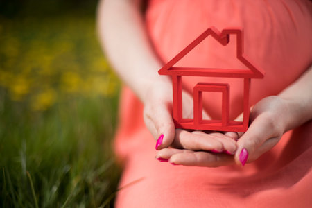 Home, pregnant woman in the meadowの写真素材