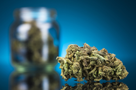 Cbd Concept, Medical Marijuana, cannabis and blue backgroundの写真素材