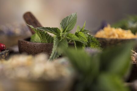Alternative medicine, dried herbs backgroundの写真素材