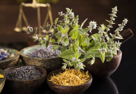 Natural medicine in black mirror backgroundの写真素材