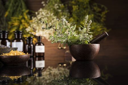 Alternative health, fresh herbal and mortar in black mirror backgroundの写真素材