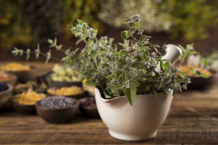 Natural remedy and wooden table backgroundの写真素材