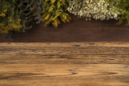 Space for your text, Natural medicineの写真素材