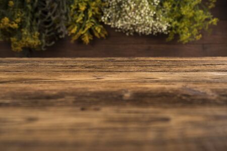 Space for your text, Natural medicineの写真素材