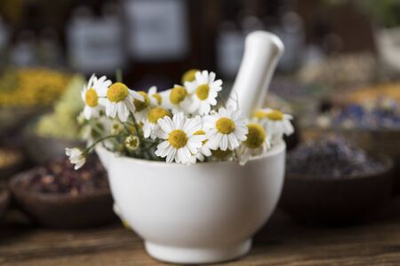 Homeopathy, herbal medicine on wooden tableの写真素材