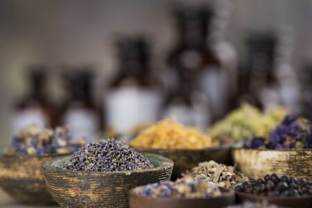 Fresh medicinal herbs on wooden backgroundの写真素材