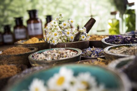 Fresh medicinal herbs on wooden backgroundの写真素材