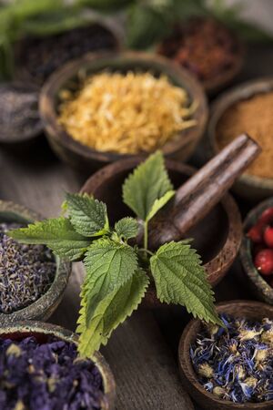 Homeopathy, herbal medicine on wooden tableの写真素材