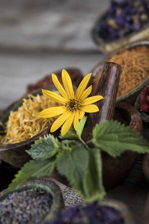 Natural remedy,Herbal medicine and wooden table backgroundの写真素材
