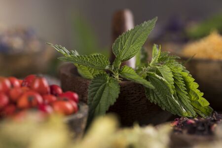Natural remedy,Herbal medicine and wooden table backgroundの写真素材