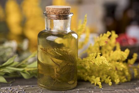 Fresh herbs and oils, wooden table backgroundの写真素材