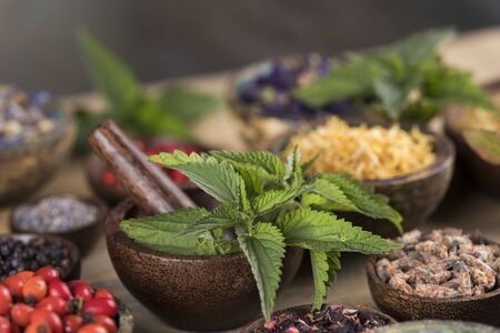 Fresh medicinal herbs on wooden backgroundの写真素材