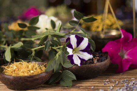 Fresh medicinal herbs on wooden backgroundの写真素材